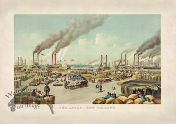 The Levee New Orleans